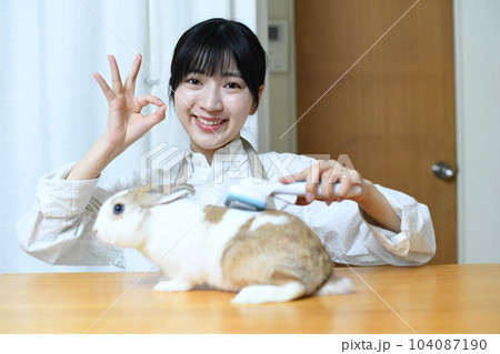 兎の毛並みを整えるトリマーの女性 兎の毛並みを整えるトリマーの女性 104087190