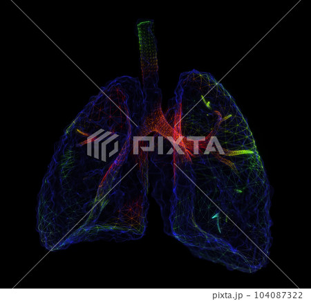 Human Lungs body. 3d lungs on body background. Human health, respiratory system 104087322