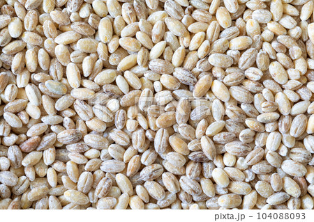 Pearl barley grains texture background, top view, macro Pearl barley grains texture background, top view, macro 104088093