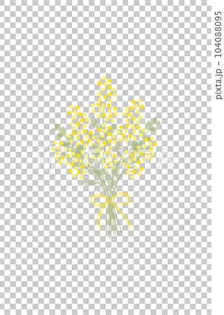 Vector illustration of mimosa bouquet 104088095