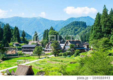 五箇山・相倉合掌造り集落（夏） 104088443