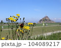 モンサンミッシェルと花と蝶々 104089217