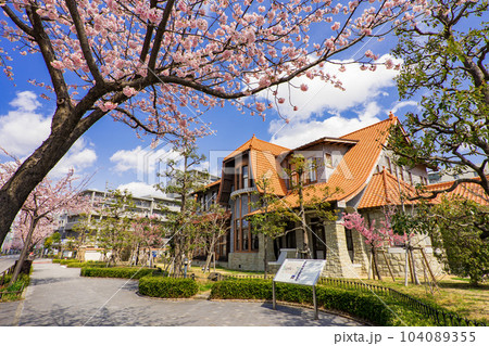 名古屋・東区・都市風景・街並み保存地区　文化のみち二葉館　川上貞奴邸と大寒桜 104089355