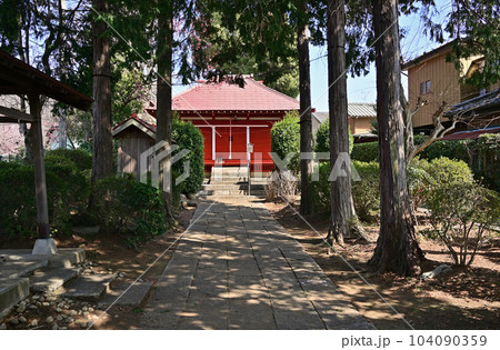 川口散歩:安行氷川神社 川口市安行 川口散歩:安行氷川神社 川口市安行 104090359
