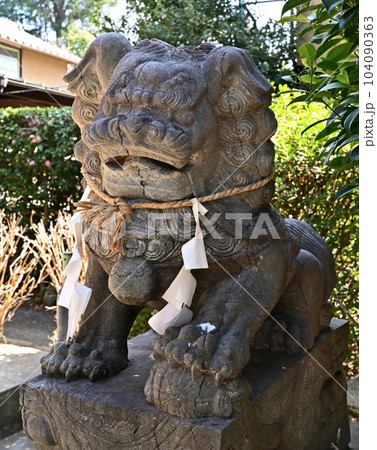 川口散歩:安行氷川神社 川口市安行 川口散歩:安行氷川神社 川口市安行 104090363