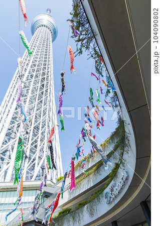 東京都市風景 東京スカイツリー 鯉のぼり 東京都市風景 東京スカイツリー 鯉のぼり 104090802