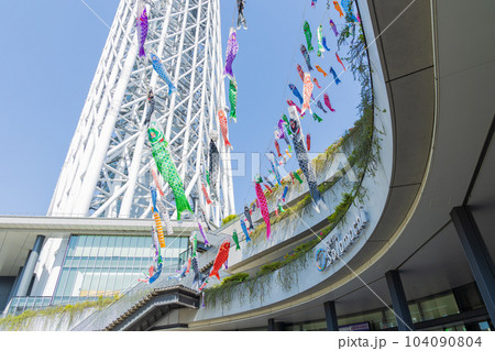 東京都市風景 東京スカイツリー 鯉のぼり 東京都市風景 東京スカイツリー 鯉のぼり 104090804
