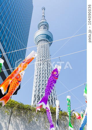 東京都市風景 東京スカイツリー 鯉のぼり 東京都市風景 東京スカイツリー 鯉のぼり 104090836
