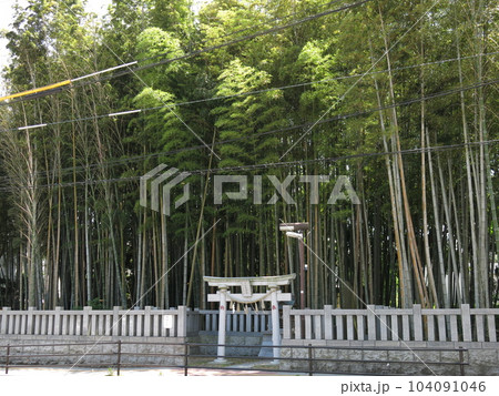 市川市の“八幡の藪知らず” 104091046
