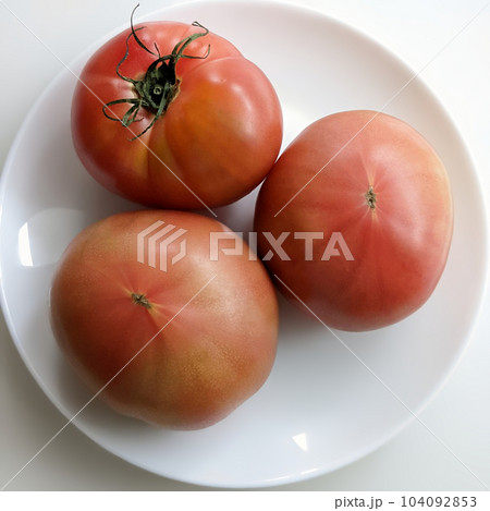 爽やかな3個のトマト 正方形 104092853