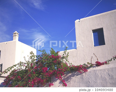 ギリシャ ミコノス島 白い建物とブーゲンビリア、青空 104093480
