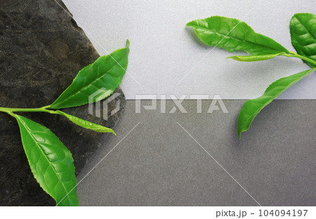生茶葉と石皿 104094197
