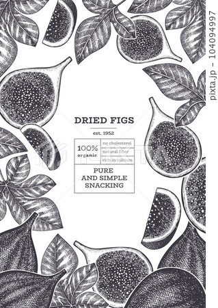 Hand drawn fig fruits design template. Organic fresh food vector illustration. Retro fig fruit banner. Hand drawn fig fruits design template. Organic fresh food vector illustration. Retro fig fruit banner. 104094997