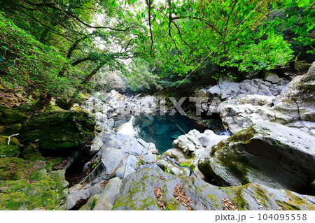 It is a beautiful scenery of Wonang Falls, a famous tourist attraction in Jeju Island. It is a beautiful scenery of Wonang Falls, a famous tourist attraction in Jeju Island. 104095558