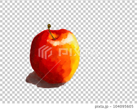 油絵風リンゴ　イラスト 104095605