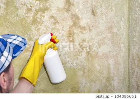 A repairman with a spray gun treats a wall with a chemical antis A repairman with a spray gun treats a wall with a chemical antis 104095651