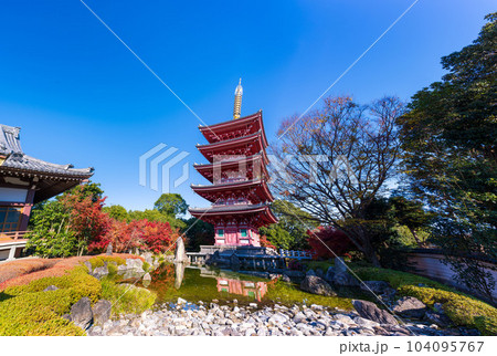 秋晴れの紅葉映えする五重塔(パノラマ)「蓮華院誕生寺(れんげいんたんじょうじ)」玉名市 104095767