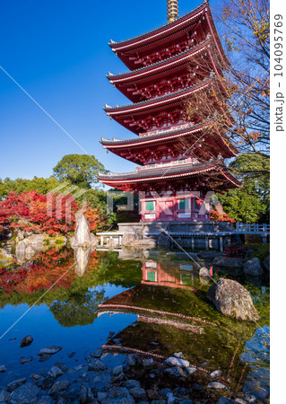 秋晴れの紅葉映えする五重塔と池に映り込む風景「蓮華院誕生寺(れんげいんたんじょうじ)」玉名市 104095769