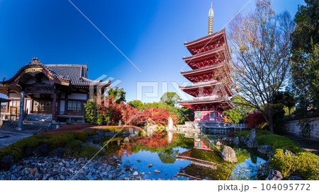 秋晴れの紅葉映えする五重塔と本堂風景(パノラマ)「蓮華院誕生寺(れんげいんたんじょうじ)」玉名市 104095772