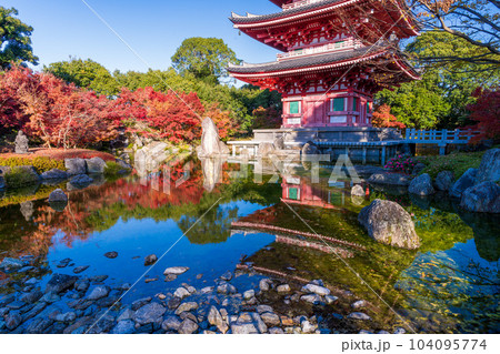 秋晴れの紅葉映えする五重塔　モミジ　池に映り込む風景「蓮華院誕生寺(れんげいんたんじょうじ)」玉名市 104095774