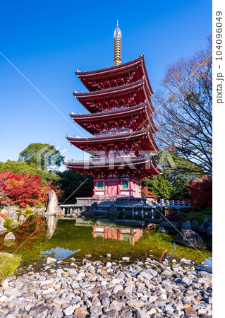秋晴れの紅葉映えする五重塔と紅葉風景「蓮華院誕生寺(れんげいんたんじょうじ)」玉名市 104096049