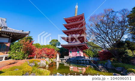 秋晴れの紅葉映えする五重塔と紅葉風景(パノラマ)「蓮華院誕生寺(れんげいんたんじょうじ)」玉名市 104096051