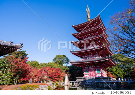 秋晴れの紅葉映えする五重塔と紅葉風景「蓮華院誕生寺(れんげいんたんじょうじ)」玉名市 秋晴れの紅葉映えする五重塔と紅葉風景「蓮華院誕生寺(れんげいんたんじょうじ)」玉名市 104096053