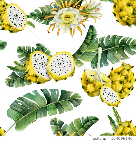 Yellow pitaya dragon fruits slices in tropical leaves seamless pattern on white background. Hand drawn illustration for summer menus, fabrics, tropical and exotic designs Yellow pitaya dragon fruits slices in tropical leaves seamless pattern on white background. Hand drawn illustration for summer menus, fabrics, tropical and exotic designs 104096146