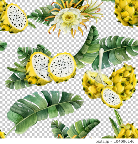 Yellow pitaya dragon fruits slices in tropical leaves seamless pattern on white background. Hand drawn illustration for summer menus, fabrics, tropical and exotic designs Yellow pitaya dragon fruits slices in tropical leaves seamless pattern on white background. Hand drawn illustration for summer menus, fabrics, tropical and exotic designs 104096146