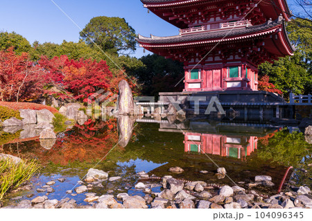 秋晴れの紅葉映えする五重塔と紅葉　池に映り込む風景「蓮華院誕生寺(れんげいんたんじょうじ)」玉名市 104096345