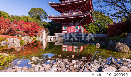 秋晴れの紅葉映えする五重塔と紅葉　池に映り込む風景「蓮華院誕生寺(れんげいんたんじょうじ)」玉名市 104096346