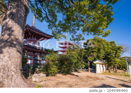 秋晴れの境内参道から観える寺のパノラマ風景「蓮華院誕生寺(れんげいんたんじょうじ)」玉名市 秋晴れの境内参道から観える寺のパノラマ風景「蓮華院誕生寺(れんげいんたんじょうじ)」玉名市 104096460