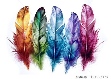 Image of colorful feathers on white background. Bird. Wildlife Animals. Illustration. Generative AI. 104096475