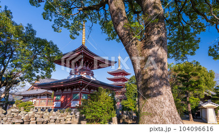 秋晴れの境内参道から観える多宝塔と五重塔風景「蓮華院誕生寺(れんげいんたんじょうじ)」玉名市 秋晴れの境内参道から観える多宝塔と五重塔風景「蓮華院誕生寺(れんげいんたんじょうじ)」玉名市 104096616