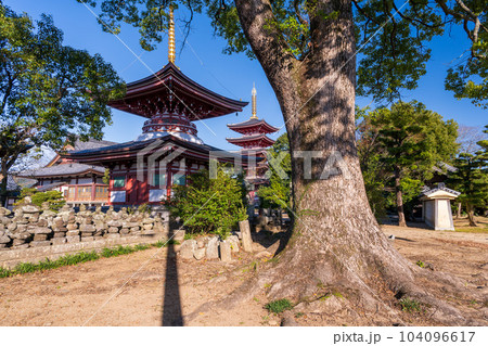 秋晴れの境内参道から観える多宝塔と五重塔風景「蓮華院誕生寺(れんげいんたんじょうじ)」玉名市 104096617