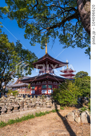 秋晴れの境内参道から観える多宝塔と五重塔風景「蓮華院誕生寺(れんげいんたんじょうじ)」玉名市 104096620