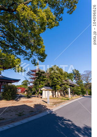 秋晴れの境内参道から観える五重塔周辺風景「蓮華院誕生寺(れんげいんたんじょうじ)」玉名市 秋晴れの境内参道から観える五重塔周辺風景「蓮華院誕生寺(れんげいんたんじょうじ)」玉名市 104096626
