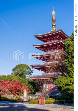 秋晴れの境内参道から観える五重塔風景「蓮華院誕生寺(れんげいんたんじょうじ)」玉名市 秋晴れの境内参道から観える五重塔風景「蓮華院誕生寺(れんげいんたんじょうじ)」玉名市 104096692