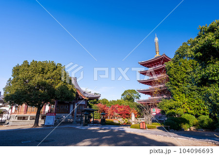 秋晴れの境内参道から観える本堂と五重塔風景「蓮華院誕生寺(れんげいんたんじょうじ)」玉名市 秋晴れの境内参道から観える本堂と五重塔風景「蓮華院誕生寺(れんげいんたんじょうじ)」玉名市 104096693