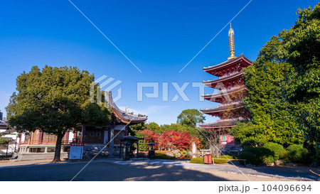 秋晴れの境内参道から観える本堂と五重塔風景「蓮華院誕生寺(れんげいんたんじょうじ)」玉名市 104096694