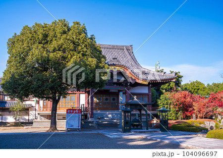 秋晴れの境内参道から観える本堂風景「蓮華院誕生寺(れんげいんたんじょうじ)」玉名市 104096697