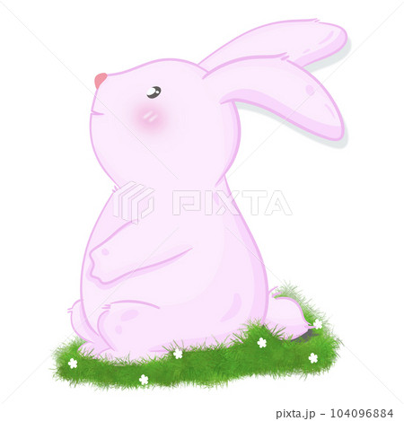 Rabbit bunny 104096884