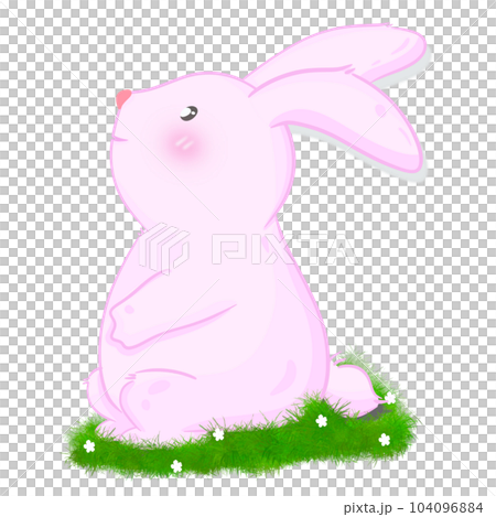 Rabbit bunny 104096884