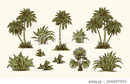Palm forest. Vector drawing Palm forest. Vector drawing 104097955