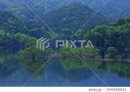 岩手県奥州市　新緑の奥州湖 104098041