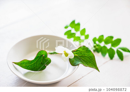 小皿に挿したドクダミの花 小皿に挿したドクダミの花 104098872