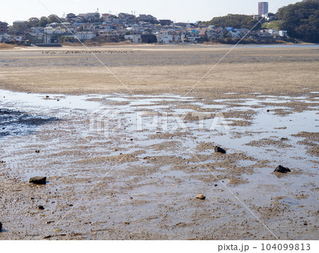 和白干潟(博多湾奥に広がる干潟)。福岡市東区。 和白干潟(博多湾奥に広がる干潟)。福岡市東区。 104099813