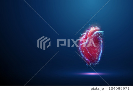 Abstract low poly red human heart. Heart anatomy. 104099971