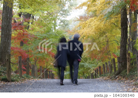 日本の紅葉（景色） 104100340