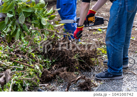 庭木の伐採 104100742